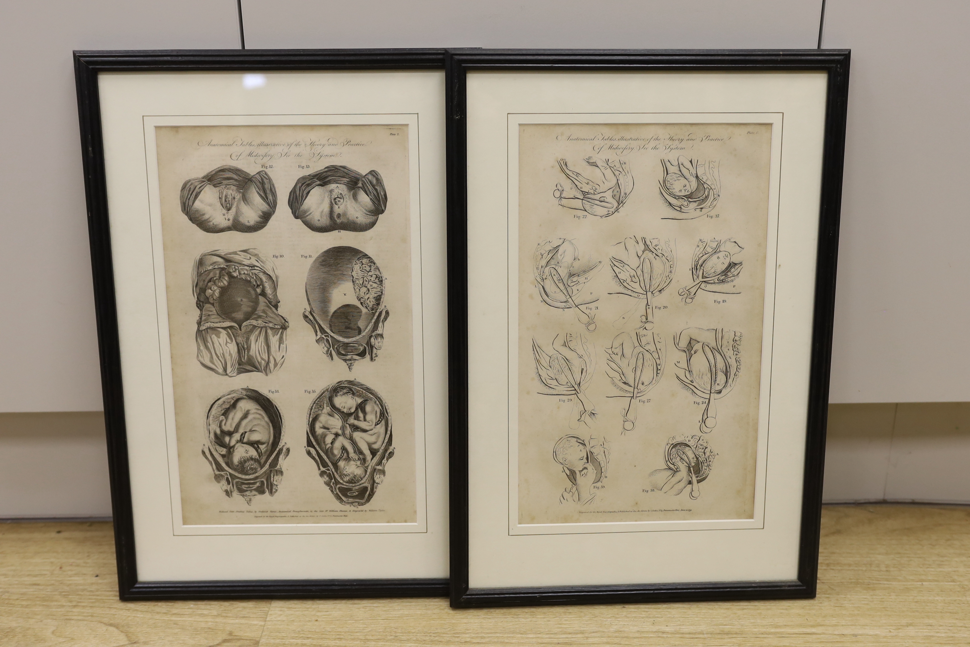 A set of eight medical and anatomical 18th century engravings, illustrating the theory and practice of midwifery, engraved for The Royal Encyclopedia and published as the Act Directs by C. Cooke, each 36 x 22cm